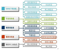 中國農(nóng)業(yè)信息網(wǎng)商務(wù)版運營模式探索 構(gòu)建數(shù)字化農(nóng)業(yè)服務(wù)新生態(tài)